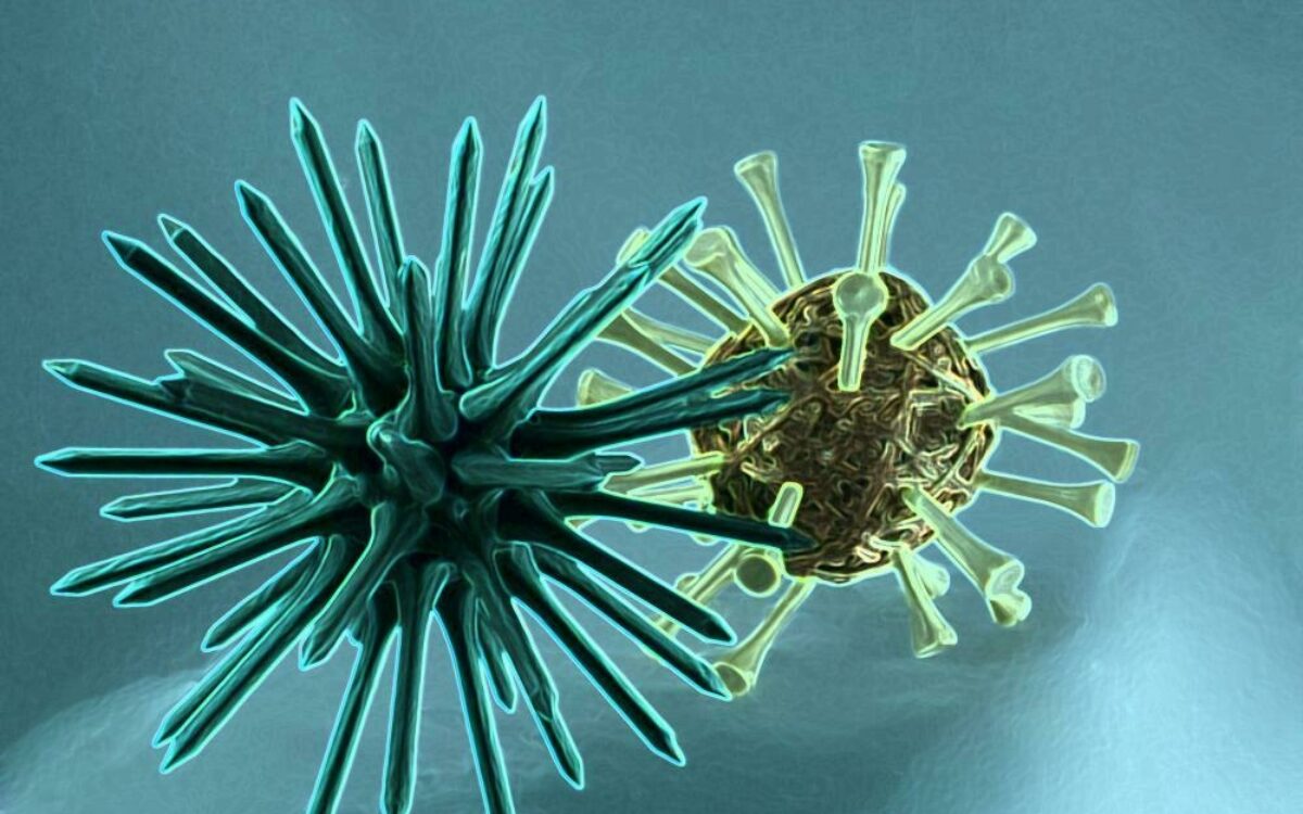 16103747201598001852503878 original r k b by aka pixelio de virus 16103747201598001852503878 original r k b by aka pixelio de virus